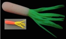 Dry Creek 2-1/4" Solar Power Tubes Glow Soft Bait - 8 Pack