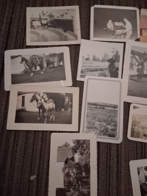 Vtg B&W Snapshot Photo Lot (10) Mid-Century Americana Horses Farm Family House