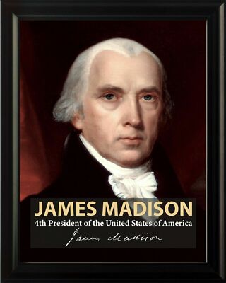 James Madison, James Monroe, Andrew Jackson 8x10 Framed 