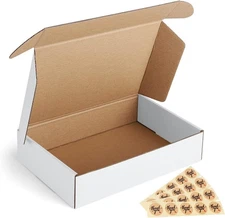 Eupako 9x6x2 Shipping Boxes Small Corrugated Cardboard Inches, White 