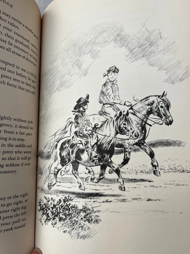 Your Pony Book By Herman Wiederhold Wesley Dennis Illustrator Hardcover 1958 - Image 3 of 4