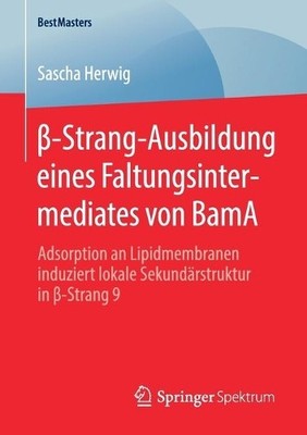 ?-Strang-Ausbildung eines Faltungsintermediates von BamA - 9783658290283