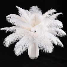 White Ostrich Feathers 12Pcs Natural Bulk 10-12Inch 25Cm-30Cm for Crafts Wedding
