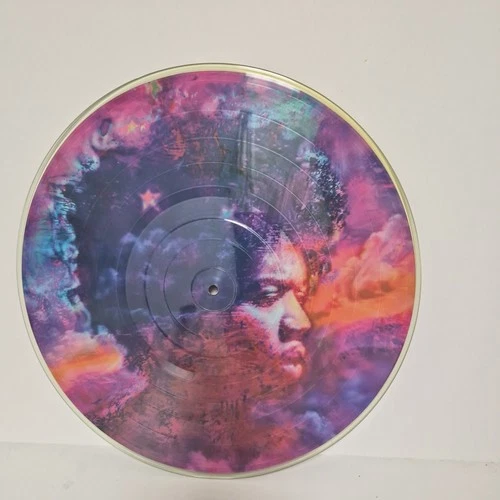 RARE🇺🇸VINTAGE 1995”IN FROM THE STORM”JIMI HENDRIX PICTURE DISC/PSYCHEDELIC 👀