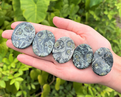 Natural Crystal Worry Stone: Choose Gemstone (Crystal Healing Pocket Stone)