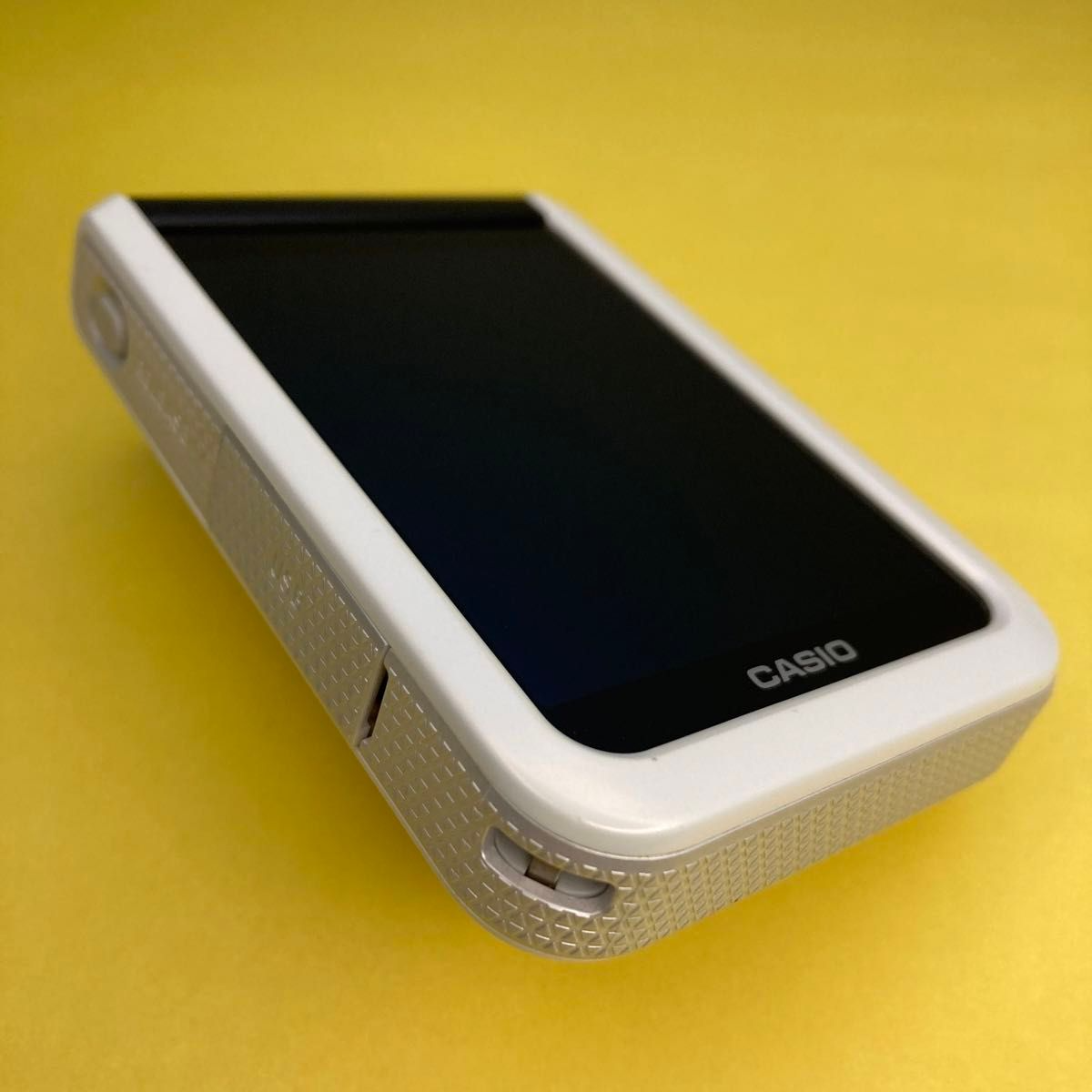 CASIO EXILIM EX-FR100L Separation Digital Camera 10.2Megapixel EX