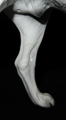 Vintage Large Ronzan Ceramic Dog Great Dane Figurine, Standing