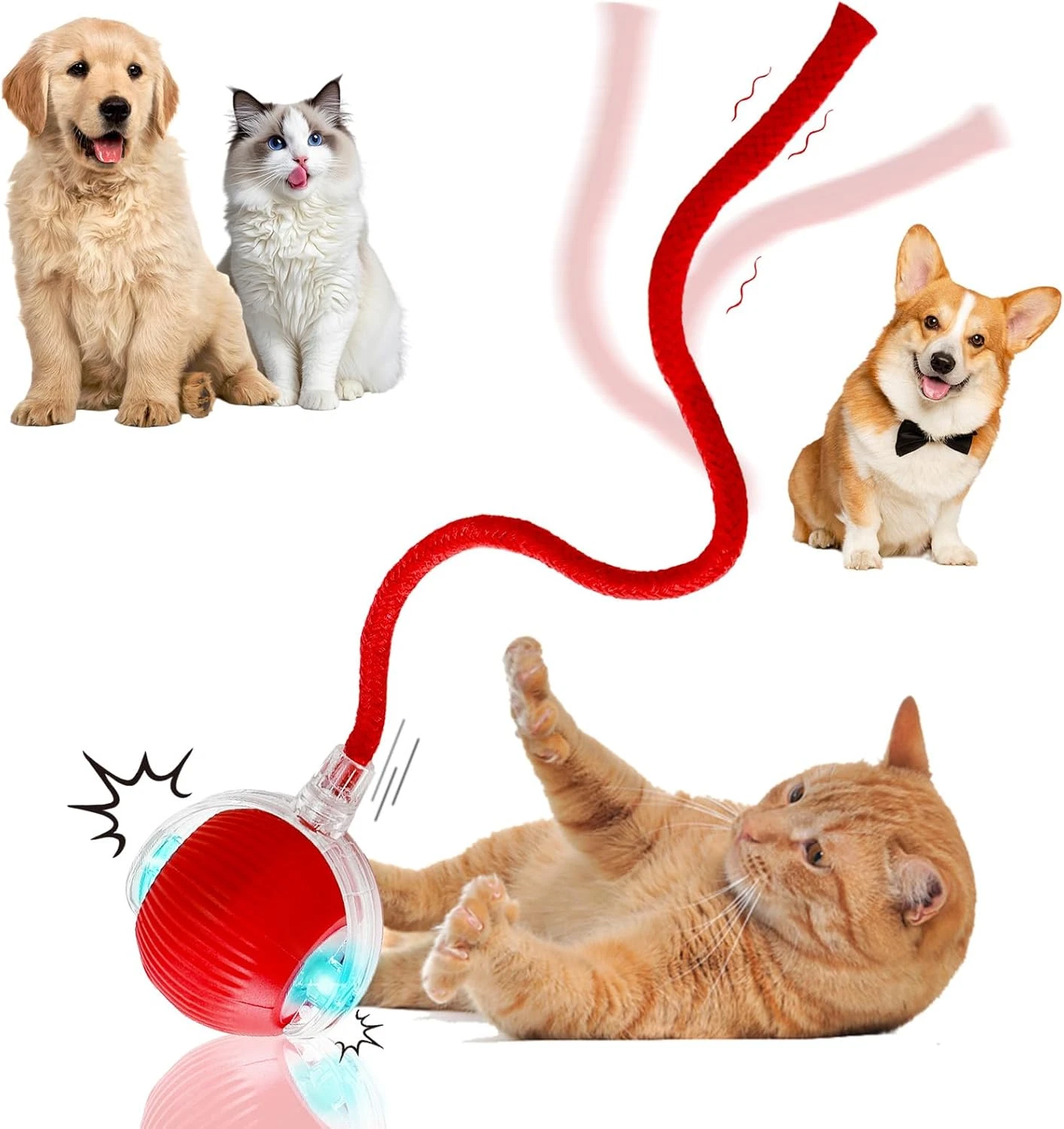 Juguete electrico interactivo de bola automatica recargable perros gatos rojo