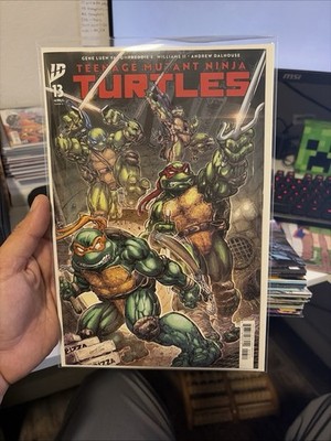 TMNT #13 - Regular Cover A - IDW Comics- 2025