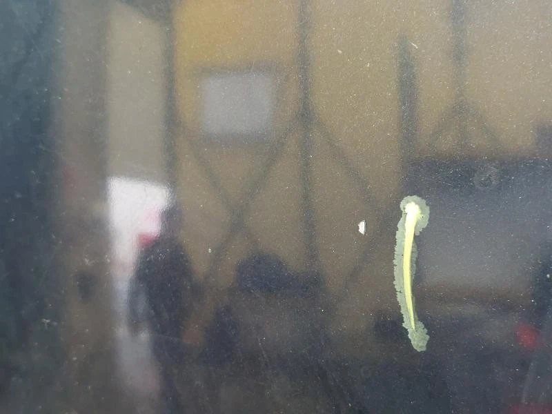 A2098800057 CAPOT AVANT MERCEDES-BENZ CLASSE CLK (W209) 2.7 CDI 20v 6m 170CV 200 - Photo 4/4