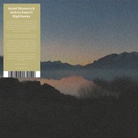 Vinile - Azumi Okaruma / Andrea Esperti - Nighthawks - Wrwtfww Records -D- Neu