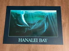 VINTAGE HANALEI BAY GEORGE SUMNER GREATEST LOVE OF ALL ART PRINT POSTER 80S NOS