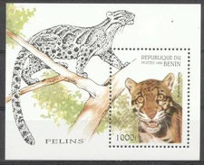 (178536) Catlike, Benin