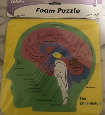 Medical Diagram Human Brain Unusual Foam Puzzle Neat Decoration NOS New Old Stoc