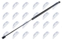 NTY Gasfeder, Koffer-/Laderaum AE-CT-034 FüR CitroËN
