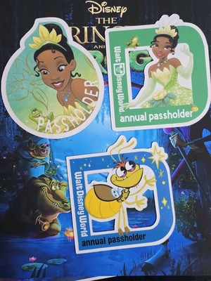  Walt Disney Annual  Passholder  3 Magnet  Ray firefly and Tiana (( HOMEMADE))