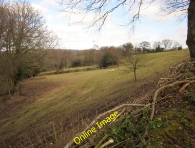 Photo 6x4 Field, Court Farm Burnworthy From the same point as [[2827409]] c2012