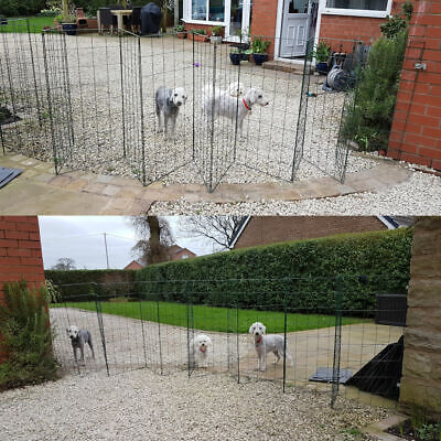 garden dog pen