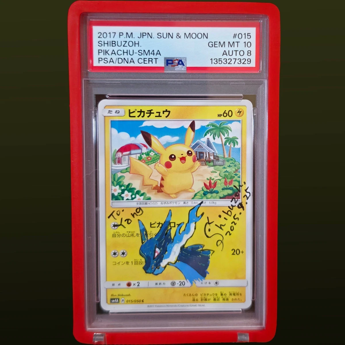 PSA10 ピカチュウ 015/050 C SM4a 2017 Pikachu 015/050 Sm4a: Ultradimensional Beasts for sale | eBay