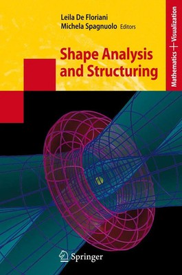 Leila De Floriani (u. a.) | Shape Analysis and Structuring | Taschenbuch (2010)