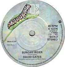 David Gates Goodbye Girl / Sunday Rider Vinyl Single 7inch Elektra