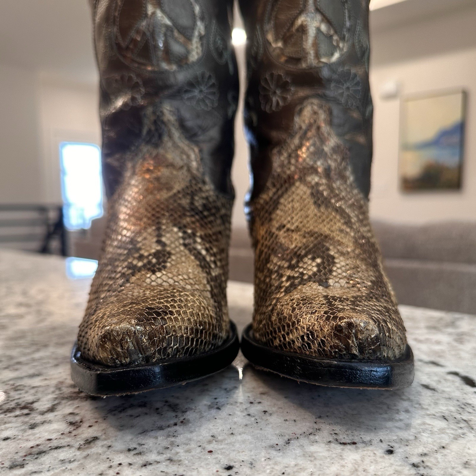 Resistol by Lucchese Python Boots 7 B Womens Cowg… - image 7