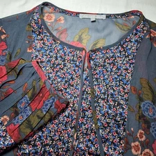 Daniel Rainn Floral Balloon Sleeve Tie V-Neck Sheer Blouse Bohemian Size XL
