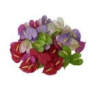 60 PCS Anthurium Mixed Color Clay Beads (2 cm) for Jewelry Making Craft Supplies