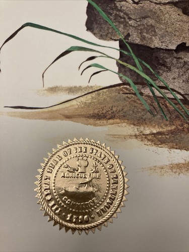 Cabin Art- RARE - Limited edition Tennessee RACCOON PRINT '72 Gene Gray - Picture 2 of 8