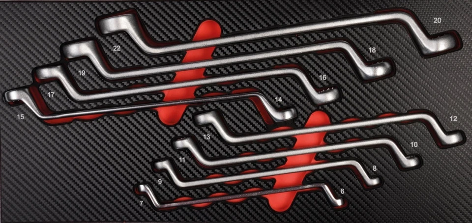 PROJAHN PRÄZISIONSWERKZEUGE GMBH Projahn PROFORM-Werkstattwageneinlage Doppelringschlüssel 6 - 22 mm 8-teilig