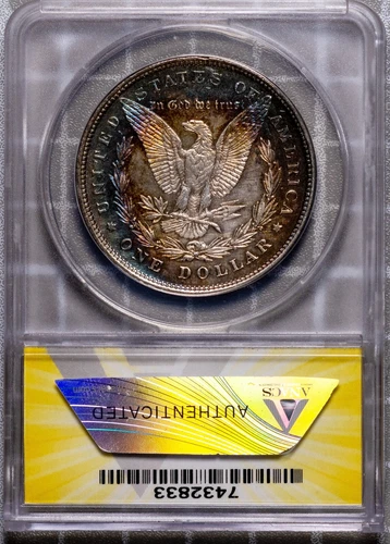 1878 8 TF $1 Silver Morgan MS 60 Details ANACS # 7432833 Bull's Eye Tone + Bonus