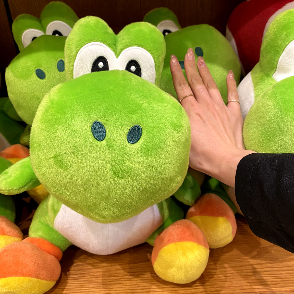 yoshi  $_12.JPG?set_id=880000500F