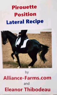 PIROUETTE POSITION Dressage Core LATERAL MOVEMENT English Western/horse training