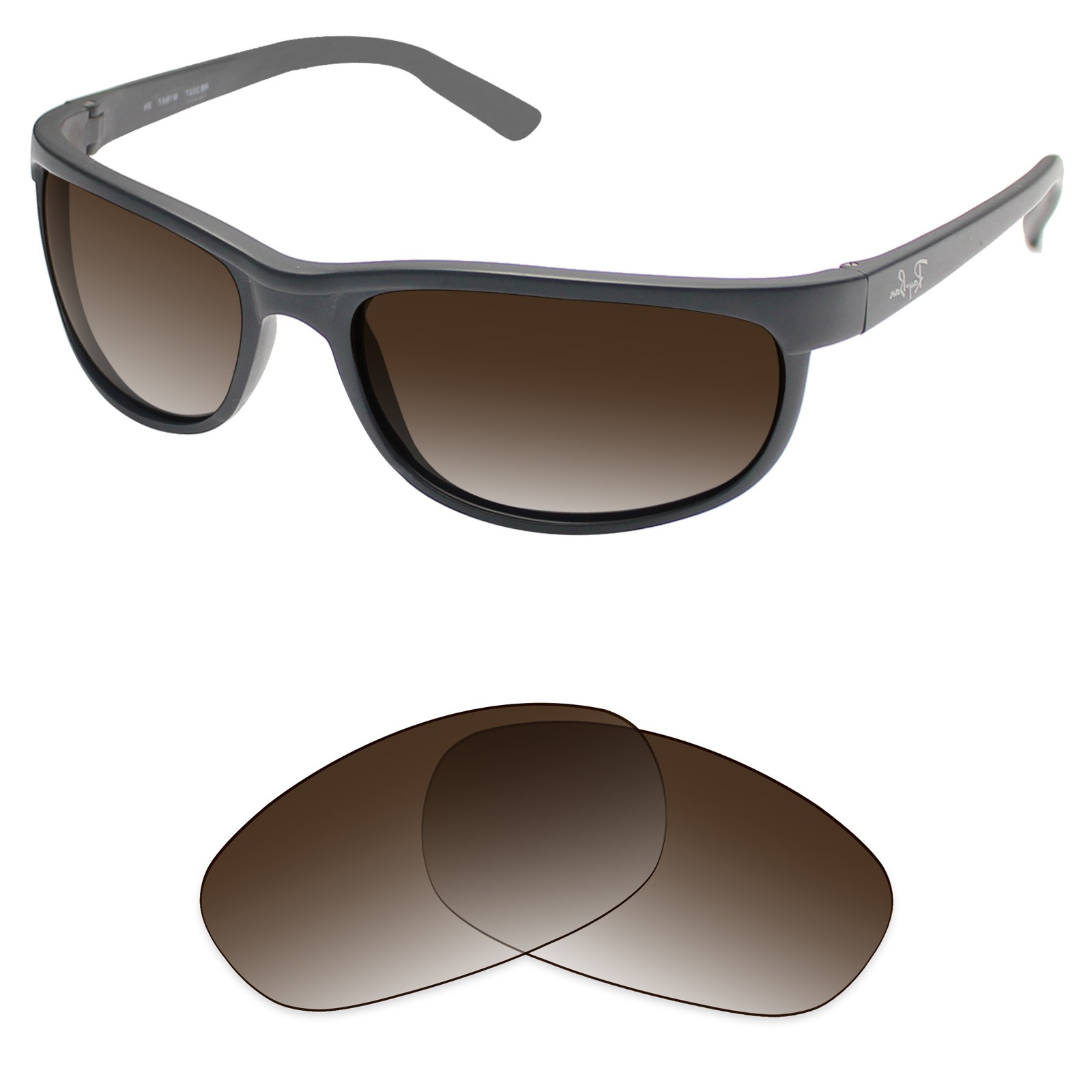 Brown Gradient Polarized(STD)