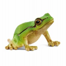 European Tree Frog - 14882