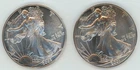 Original lot of two United States American Silver Eagle bullion coins 2001/02