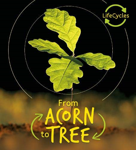 Lifecycles - Acorn to Tree - de la Bedoyere, Camilla