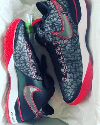 Size 10 - Nike Zoom LeBron 20 NXXT Gen x FaZe Clan Bred 2023