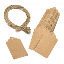 100pcs Bulk Blank Tags Wedding Xmas Unpatterned Labels for Gift Paking Bags