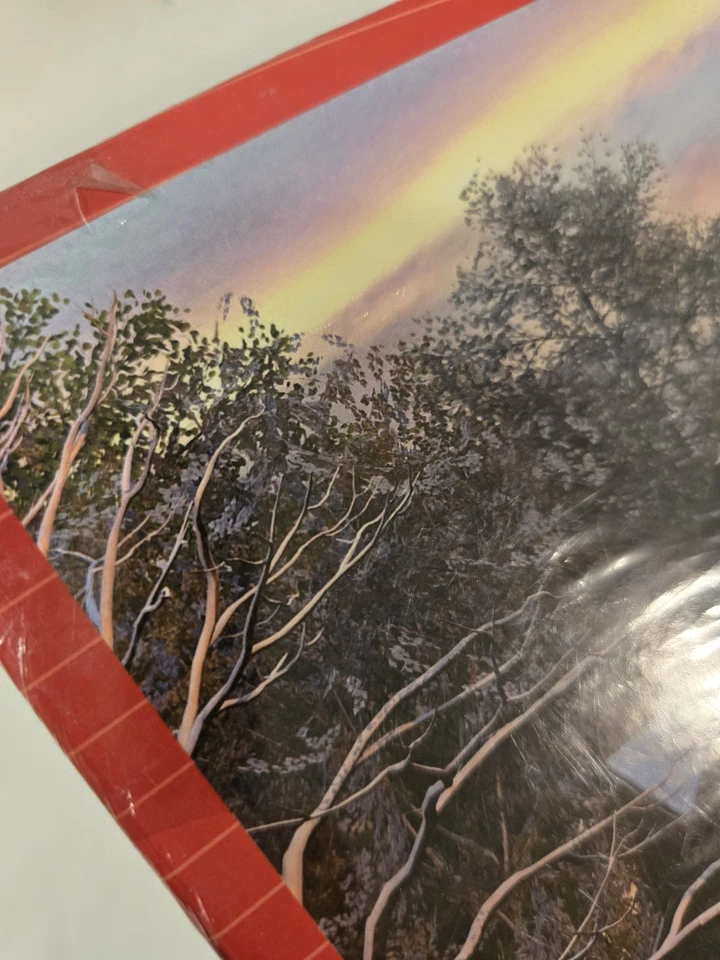 Rompecabezas de 1000 piezas Eurographics Dominic Davison conduciendo a casa para Navidad NUEVO Foto 4 de 4