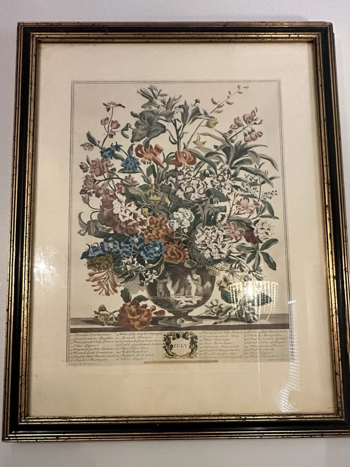 Par de hermosos estampados perriniales Furber (abril y julio) Foto 4 de 4