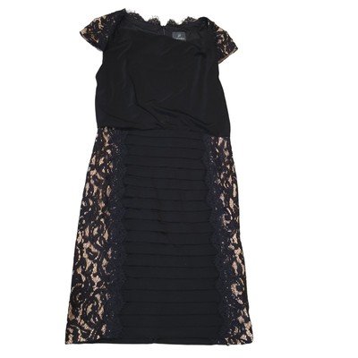 Adrianna Papell Day Dress Women Size 4 Lace Side Panel Cocktail Shutter  Pleat | eBay