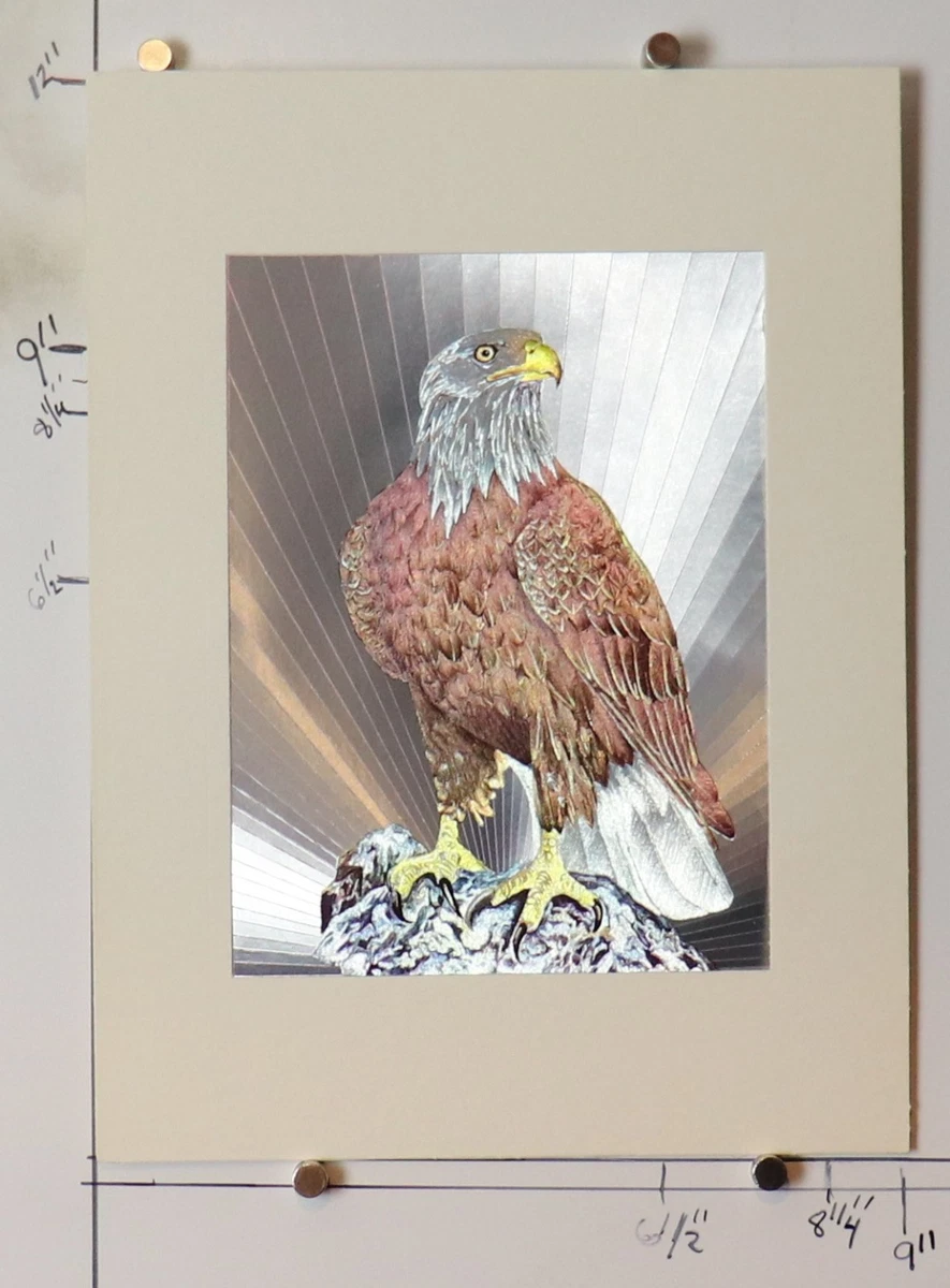 Dufex Prints for sale | eBay