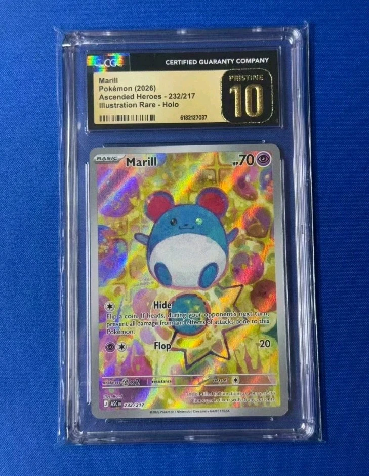 Pokémon TCG 全息罕见10 级个人收藏卡牌游戏卡| eBay