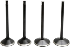 Kibblewhite Black Diamond Valve Kits 20-23100