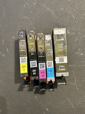 Genuine Empty Virgin Canon  Ink Cartridges PIXMA 251 - Set Of 5