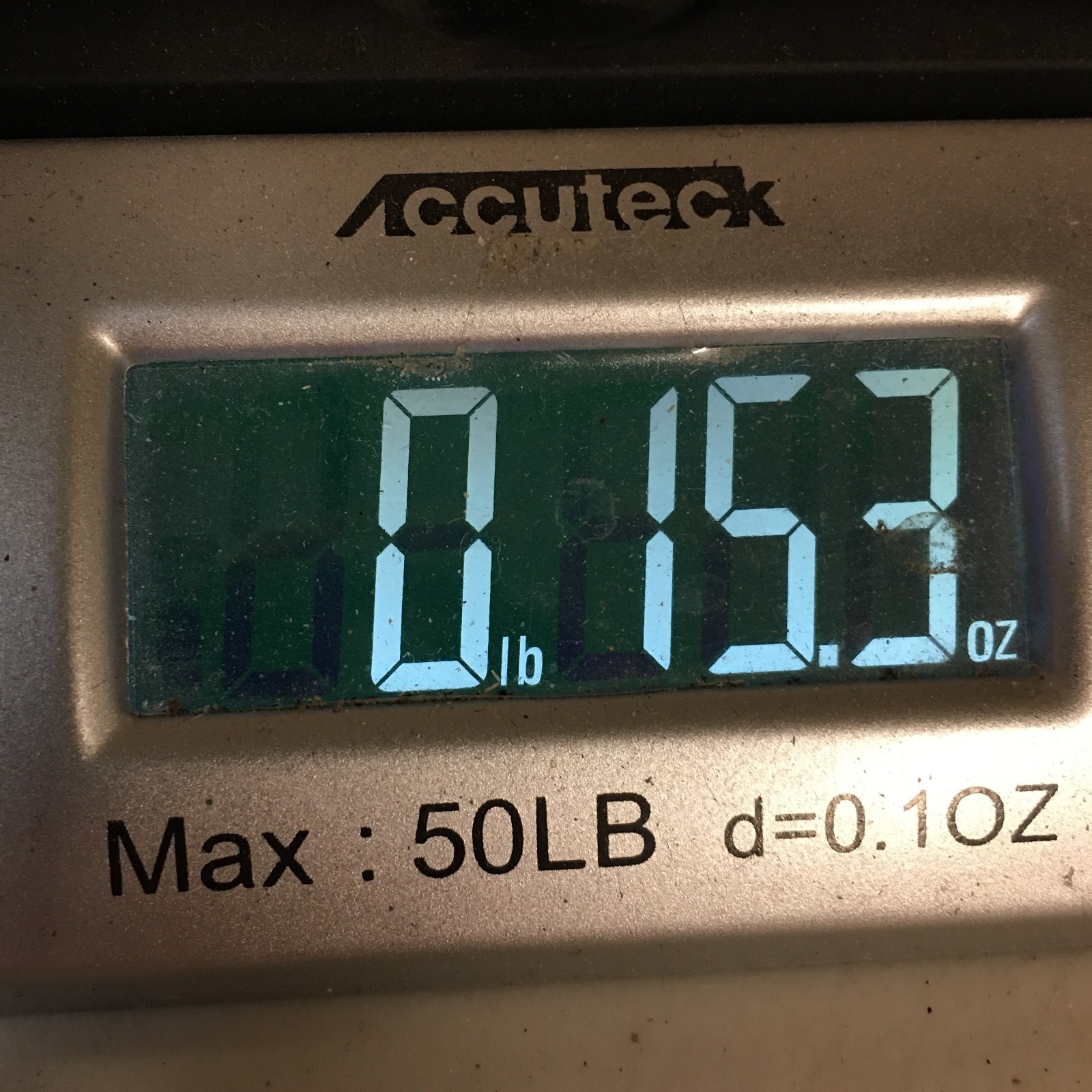 Toms Sephina Sandals Womens 9 Ankle Strap Buckle Comfort Casual Flats Off-White thumbnail 16