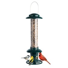 Brome Squirrel Buster Evolution Bird Feeder w...