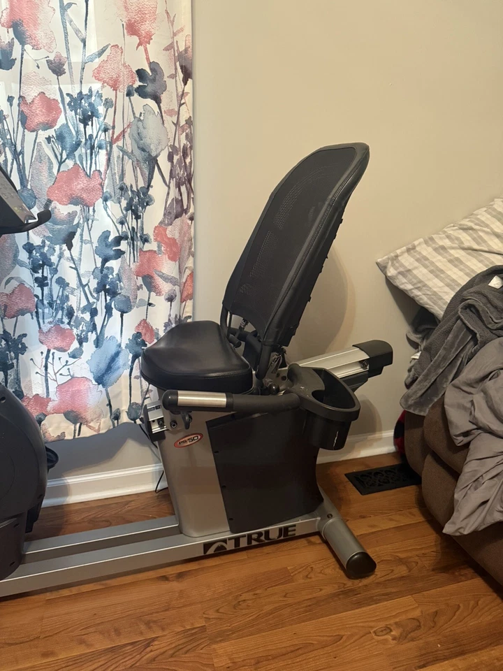 BICICLETA ESTACIONARIA RECLINADA TRUE PERFORMANCE 50 GRIS EJERCICIO Foto 2 de 4