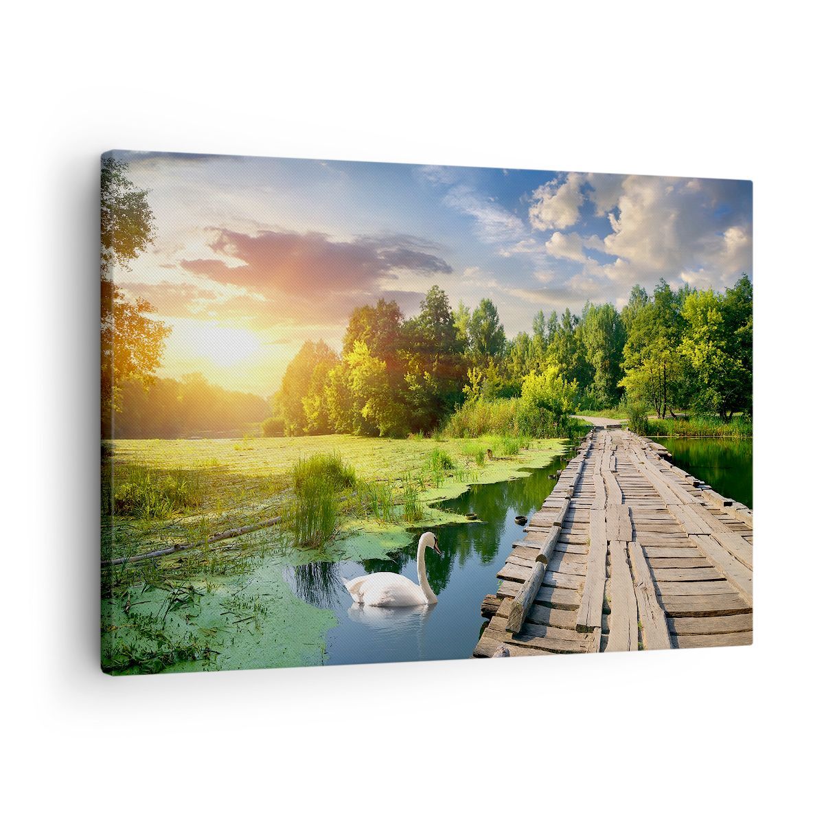 Quadro su Tela 70x50cm architettura lungomare Cigno Paesaggio Stampe Murale